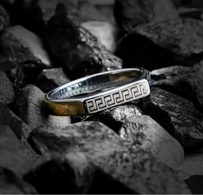 Aesthetic Versace Silver Ring